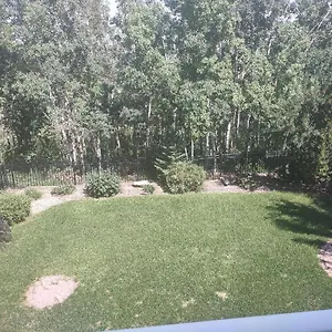 Spacious One Bedroom Walkout Basement Apartment Calgary